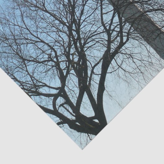 Washington Denkmal im Winter I Landschaft Seidenpapier (Ausschnitt)