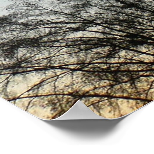 Washington Denkmal im Winter II Landschaft Poster (Ecke)