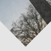 Washington Denkmal im Winter II Landschaft Seidenpapier (Detail)