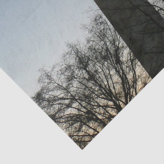 Washington Denkmal im Winter II Landschaft Seidenpapier (Detail)