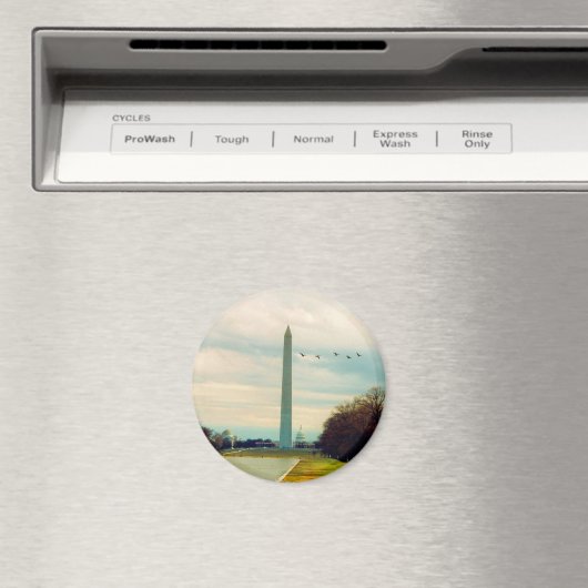 Washington-Denkmalvögel Magnet (In Situ (Geschirrspüler))