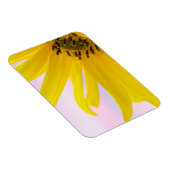 Washington. Detail Sonnenblumen 1 Magnet (Rechte Seite)
