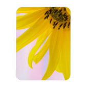 Washington. Detail Sonnenblumen 1 Magnet (Vertikal)