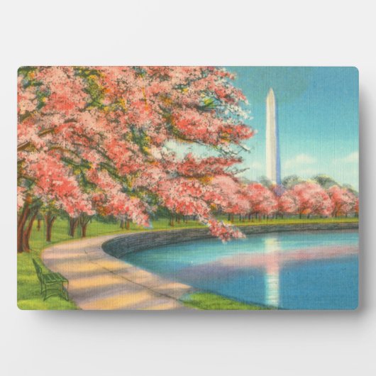 Washington Fotoplatte (Vorderseite)