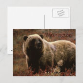 Washington Grizzlybär Postkarte (Vorne/Hinten)
