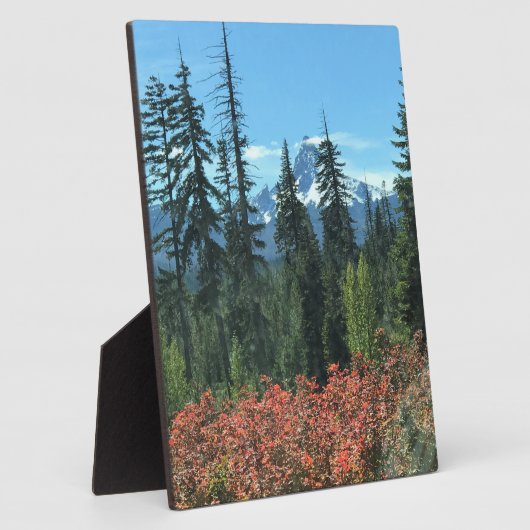 Washington im Herbst, OR Fotoplatte (Seite)