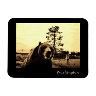 Washington Magnet