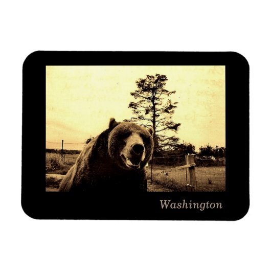 Washington Magnet (Horizontal)