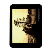 Washington Magnet (Vertikal)