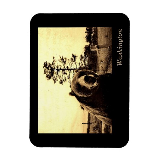 Washington Magnet (Vertikal)