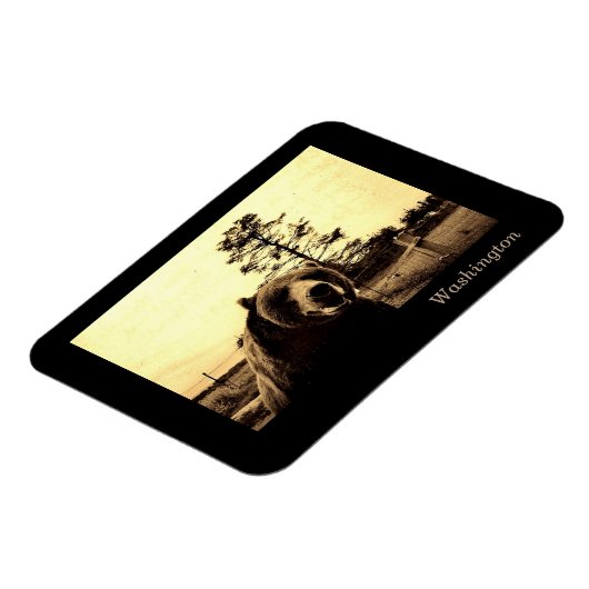 Washington Magnet (Linke Seite)