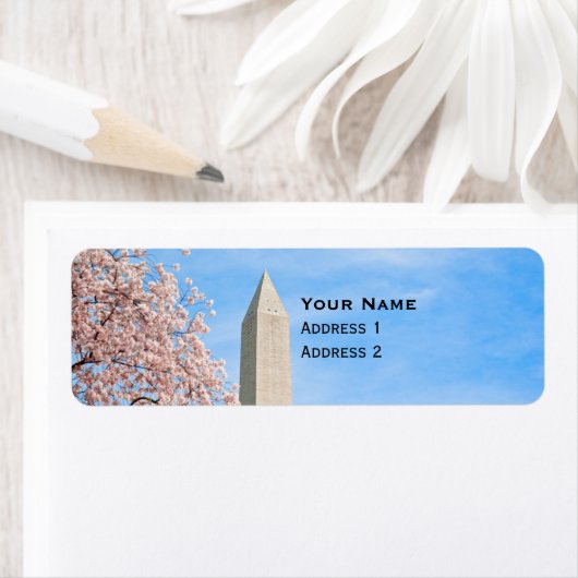 Washington Monument (Insitu)