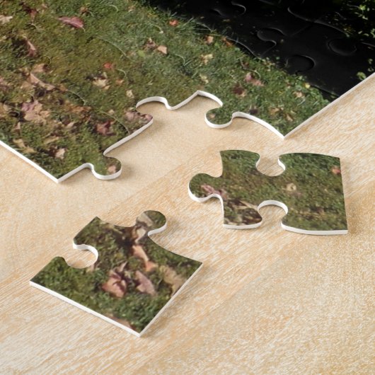 Washington Monument and Fall Trees Puzzle (Seite)