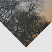 Washington Monument at Sunset Seidenpapier (Detail)