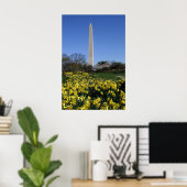 Washington Monument Daffodils Poster (Heimbüro)