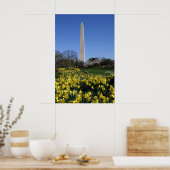 Washington Monument Daffodils Poster (Küche)