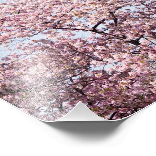 Washington Monument Fotodruck (Ecke)