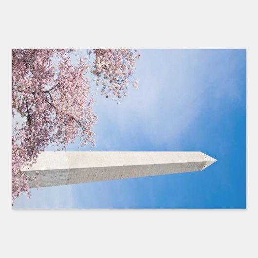 Washington Monument Geschenkpapier Set (Vorderseite 3)