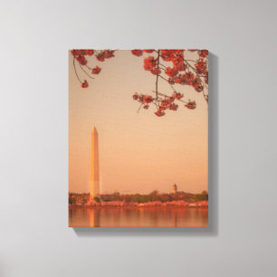 Washington-Monument Kirschblüte am Sonnenuntergan Leinwanddruck
