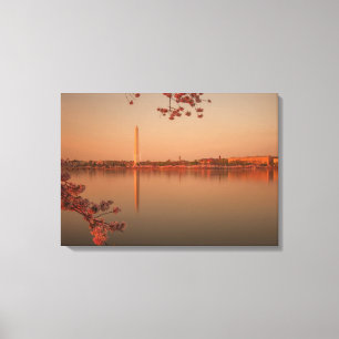 Washington-Monument Kirschblüte am Sonnenuntergan Leinwanddruck