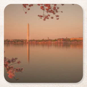 Washington-Monument Kirschblüte am Sonnenuntergan Rechteckiger Pappuntersetzer