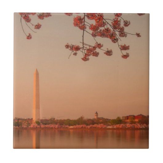 Washington-Monument Kirschblüte am Sonnenuntergang Fliese (Vorderseite)