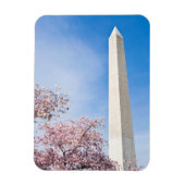 Washington Monument Magnet (Vertikal)