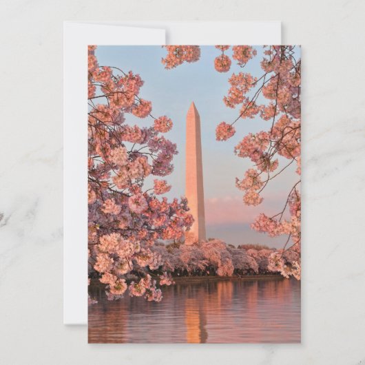 Washington Monument mit Kirschblüten Karte (Vorderseite)