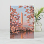 Washington Monument mit Kirschblüten Karte (Stehend Vorderseite)
