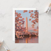 Washington Monument mit Kirschblüten Karte (Vorderseite/Rückseite Beispiel)