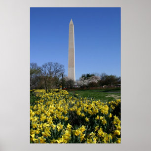 Washington-Monument-Narzissen Poster