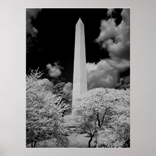 Washington Monument Poster (Vorne)