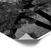 Washington Monument Poster (Ecke)