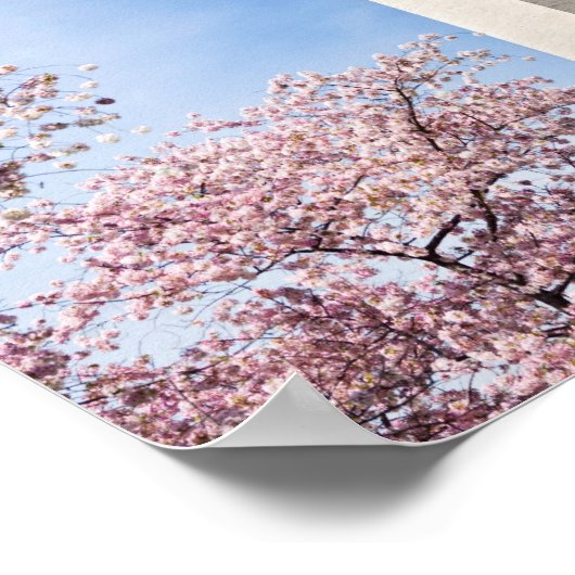 Washington Monument Poster (Ecke)