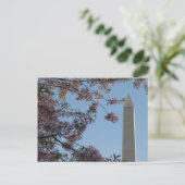 Washington Monument Postkarte (Stehend Vorderseite)