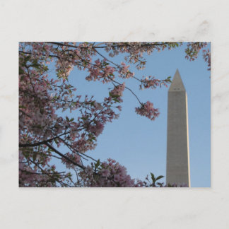 Washington Monument Postkarte