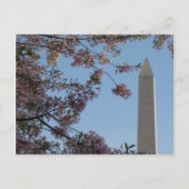 Washington Monument Postkarte (Vorderseite)