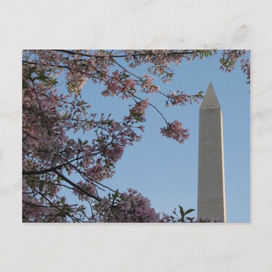 Washington Monument Postkarte (Vorderseite)