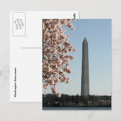 Washington Monument Postkarte (Vorne/Hinten)