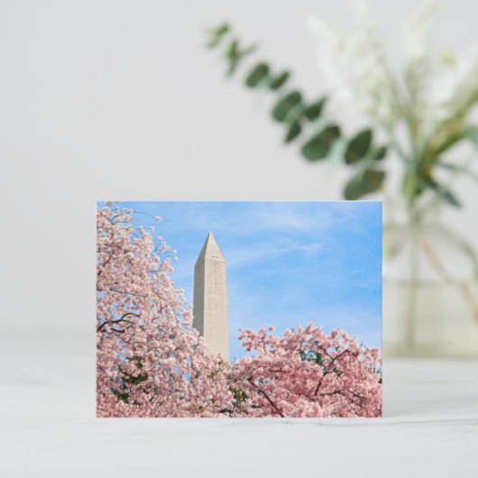 Washington Monument Postkarte (Stehend Vorderseite)