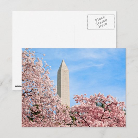 Washington Monument Postkarte (Vorne/Hinten)