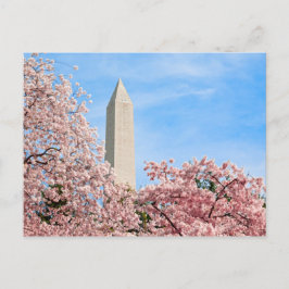 Washington Monument Postkarte