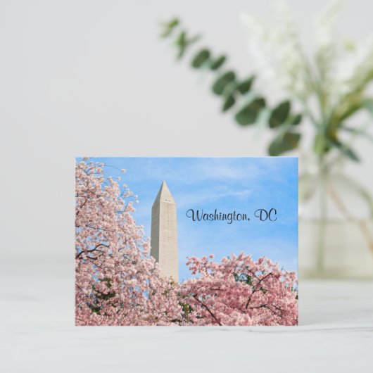 Washington Monument Postkarte (Stehend Vorderseite)