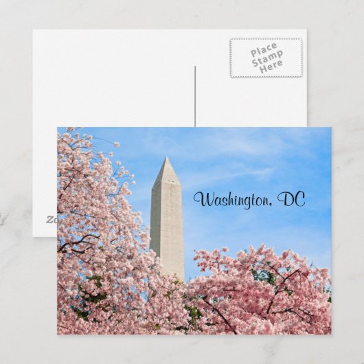 Washington Monument Postkarte (Vorne/Hinten)