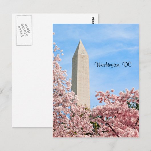 Washington Monument Postkarte (Vorne/Hinten)
