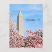 Washington Monument Postkarte (Vorderseite)