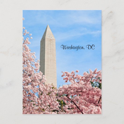 Washington Monument Postkarte (Vorderseite)