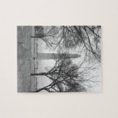 Washington-Monument Puzzle (Horizontal)