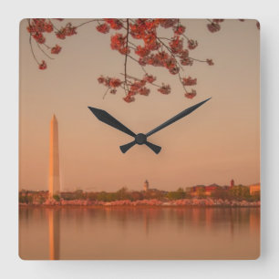 Washington Monument Sakura at sunset. Quadratische Wanduhr