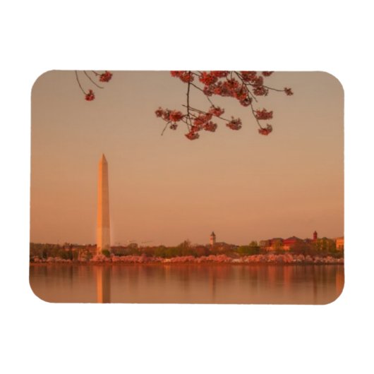 Washington Monument Sakura bei Sonnenuntergang. Magnet (Horizontal)